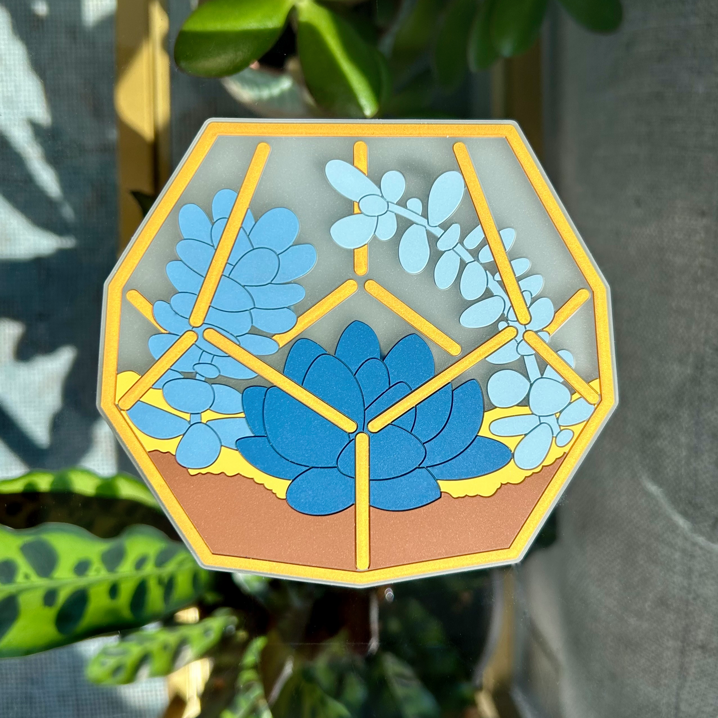 Terrarium Coasters