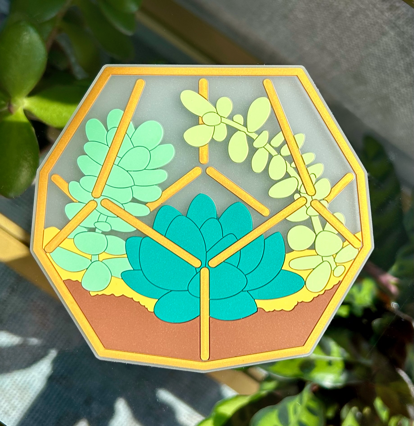 Terrarium Coasters