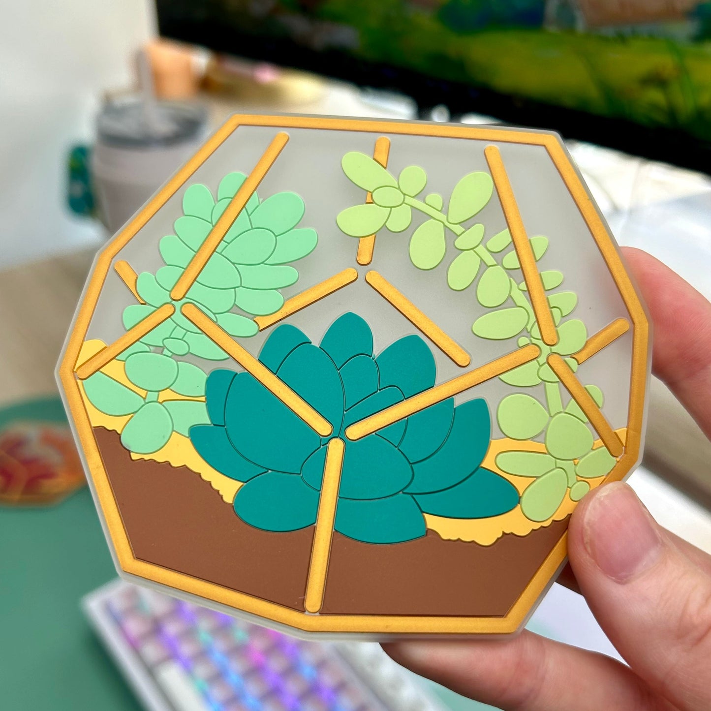 Mystery B-Grade Coaster Bags