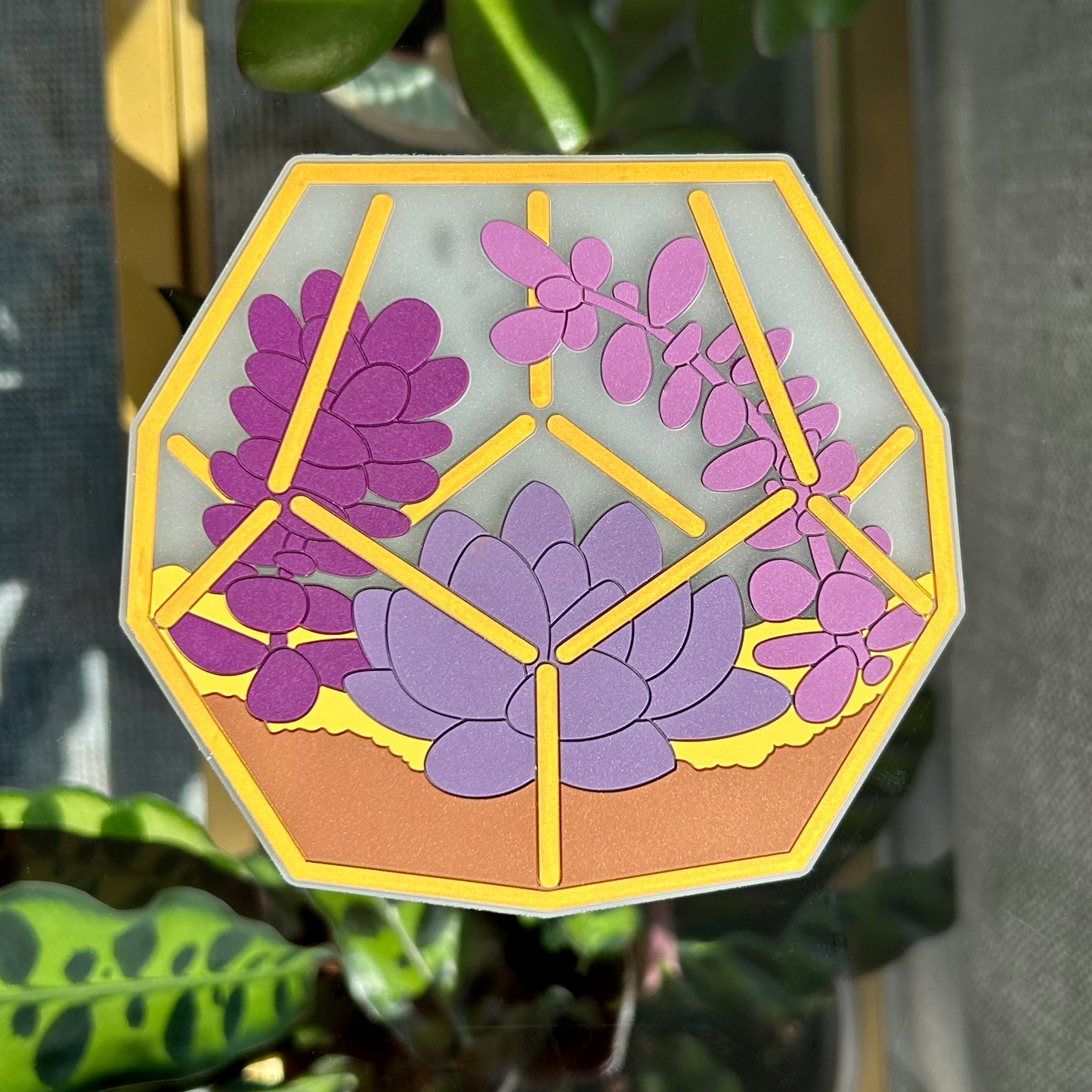 Terrarium Coasters